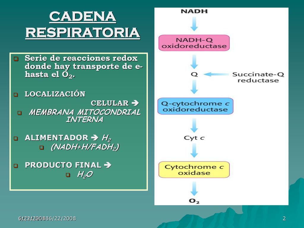Energía y consumo